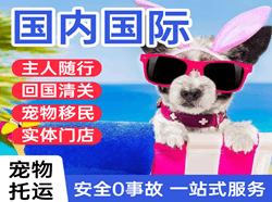 喀什机场货运国际宠物托运 【国